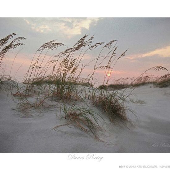 Dunes Poetry- Photo by Ken Buckner (1647)