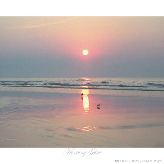 Morning Glow- Photo by Ken Buckner (1211)