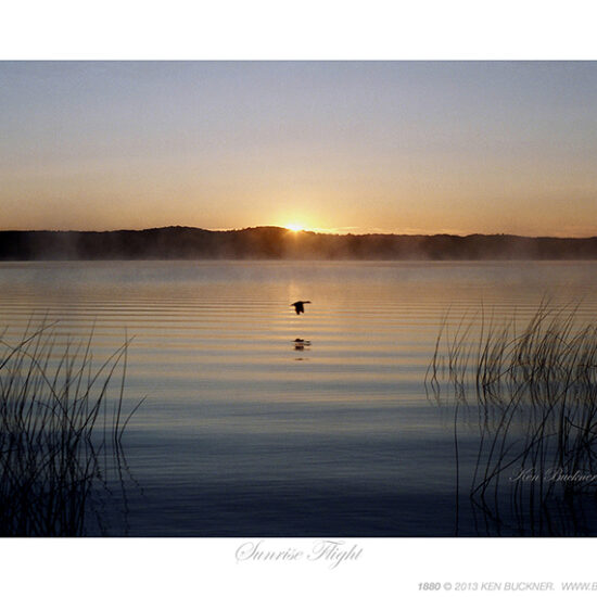 Sunrise Flight- Photo by Ken Buckner (1880)