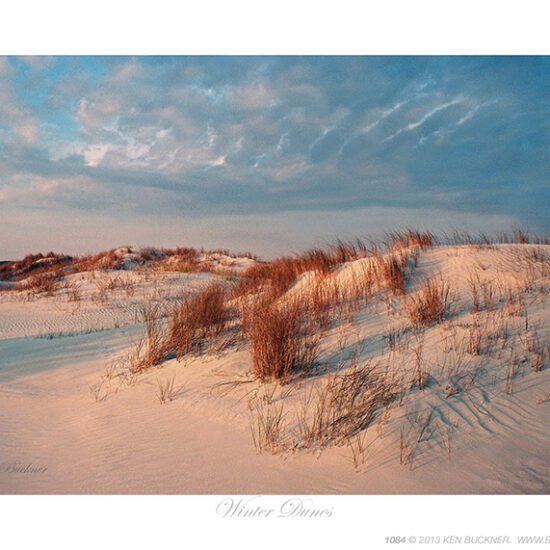 Winter Dunes- Photo by Ken Buckner (1084)