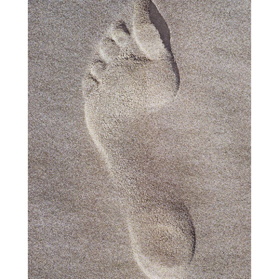 Footprint- Photo by Ken Buckner (1860)