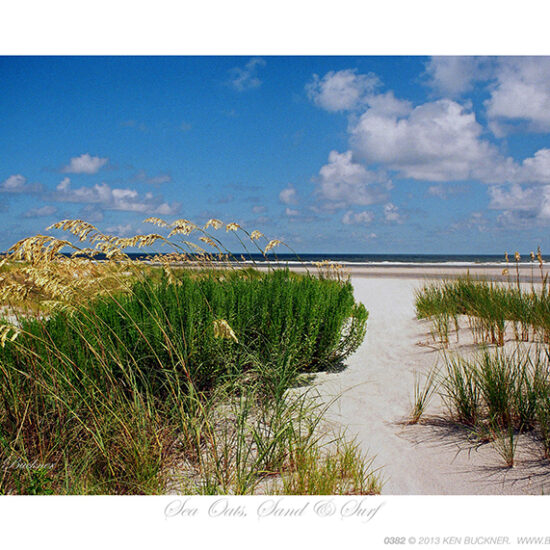 Sea Oats, Sand, & Surf- Photo by Ken Buckner (0382)